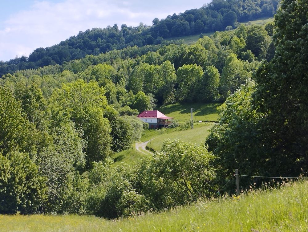 Vând casă și teren 13500mp în Munții Apuseni, Huedin