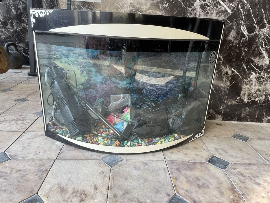 Аквариум для рыб