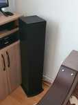 Boxe de podea Polk T50