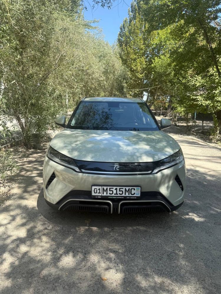 Byd Yuan Up 2024