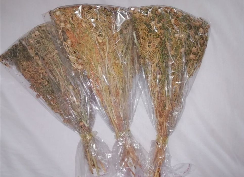 Звоните. В наличии.