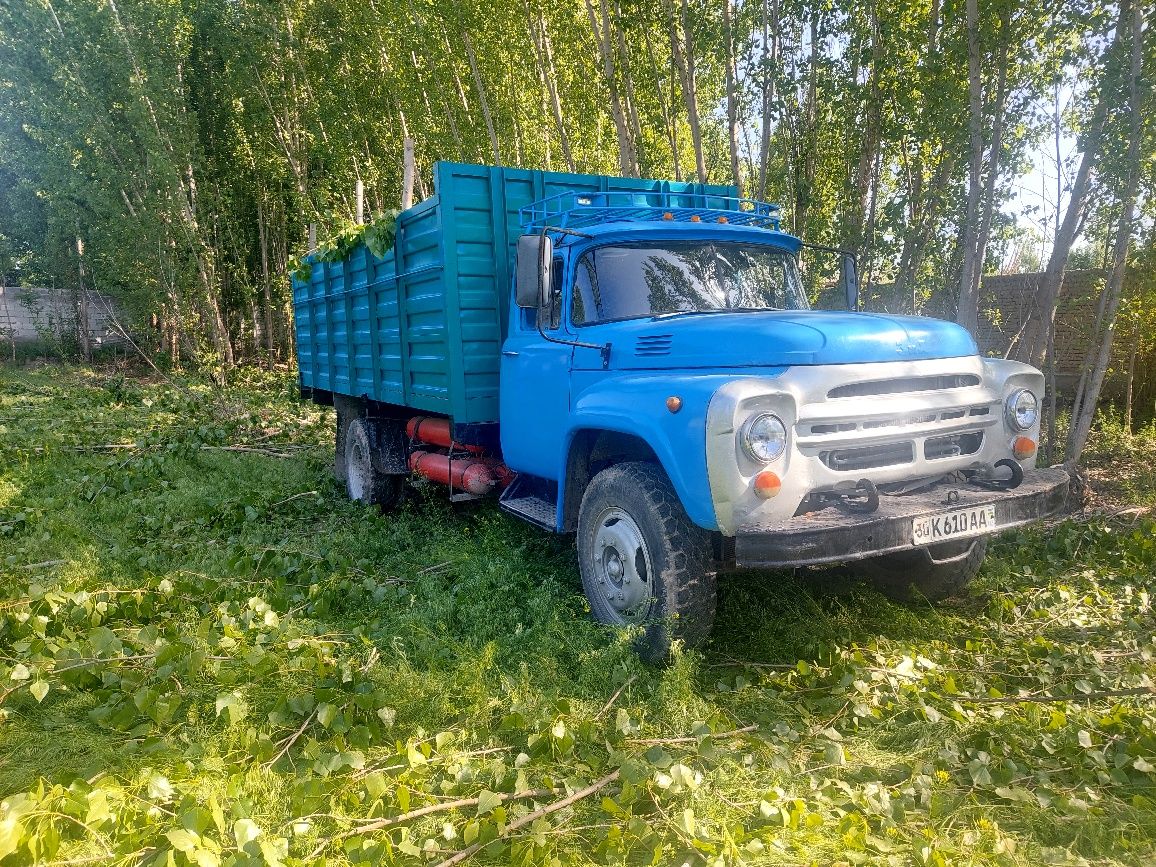 Zil sotilat tayyor pul topishga yozyovonda