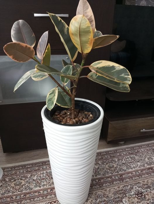 Продам продам продам