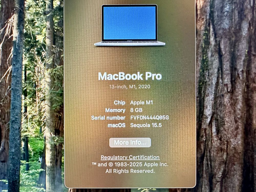 MacBook Pro M1 13” 256gb 8gb RAM