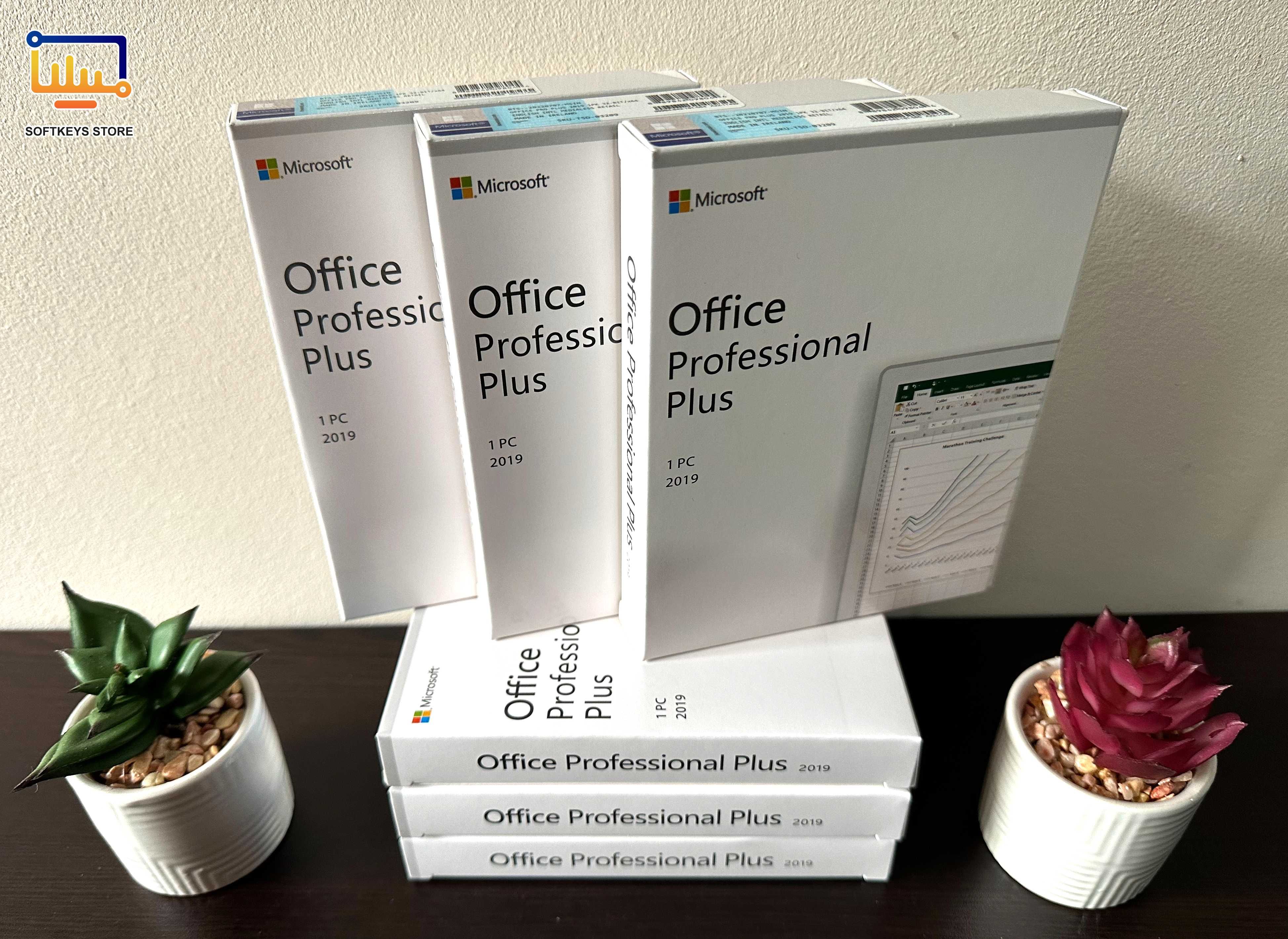 Microsoft Office 2019 Professional Plus (RETAIL Box)