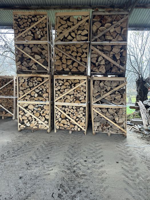 Lemn foc Fag paletat dimensionat