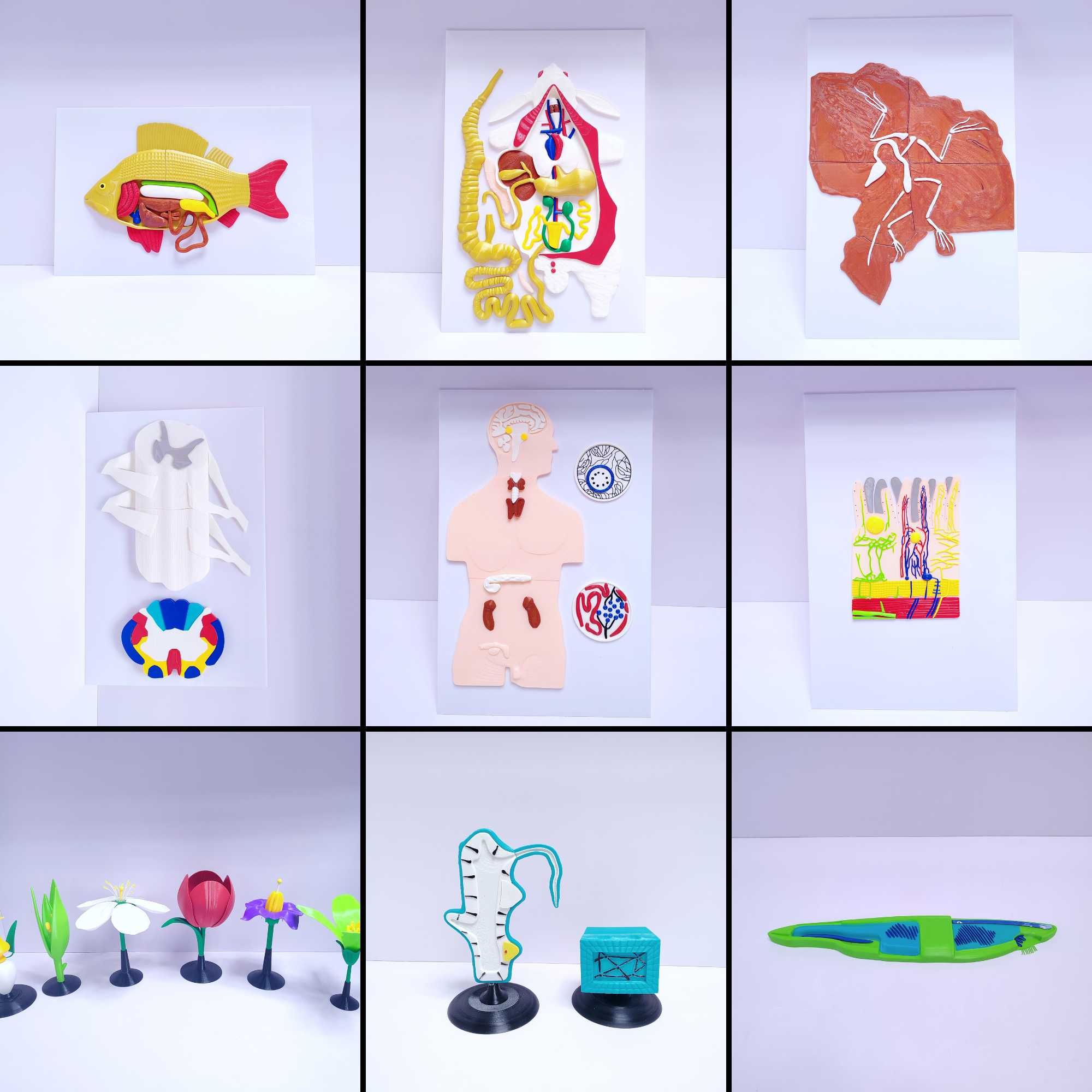 3D Printer xizmati. Услуга 3Д Принтера.