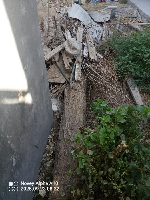 Utin sotiladi arzonga