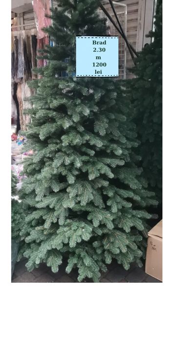 Brad din silicon bogat 2,30 m .