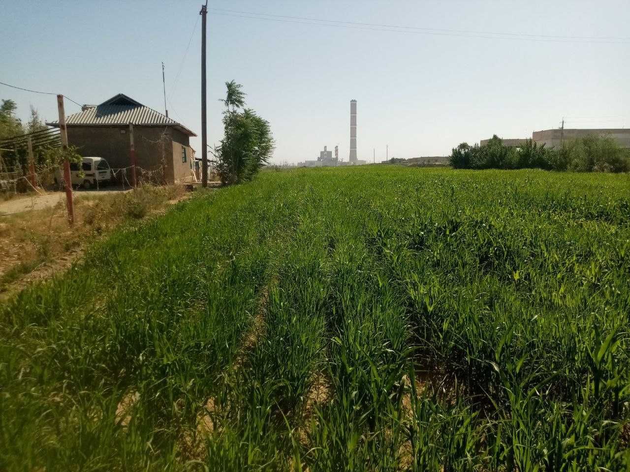 Загородный дом со всеми условиями.