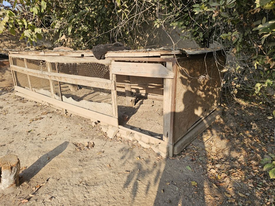 Тауық қора сатылады