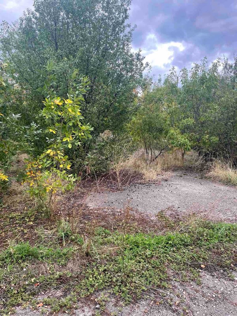 Продава се Парцел в Елин Пелин - 1990 кв.м за 105 €/кв.м - Снимка #1