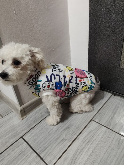 Vesta călduroasă cățel