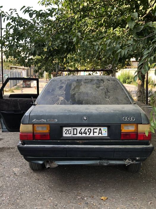 Audi 100 na xadu