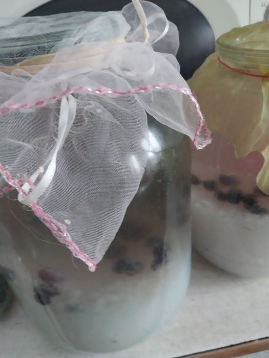 Продам лечебный Индиский морской гриб Рис