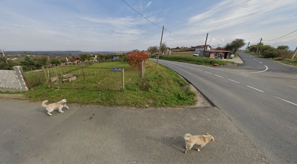 Teren intravilan Daia Noua 930mp (Poziție excelenta)