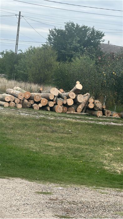 Lemne foc esenta tare