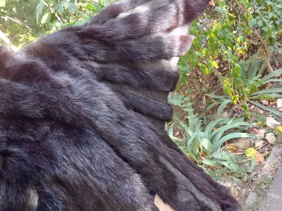 Haina de blana Fluture