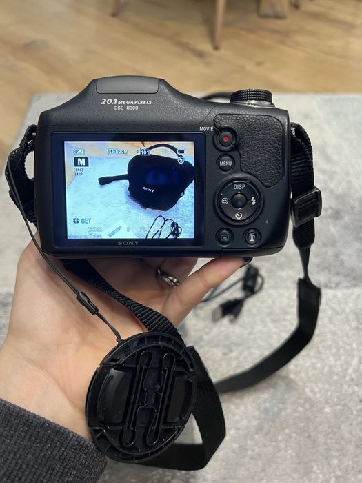 Фотоапарат Sony Cyber-shot DSC-H300 20.1 MP