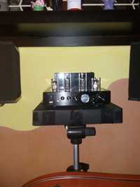 Auna Tube Amplifier si Bose 301