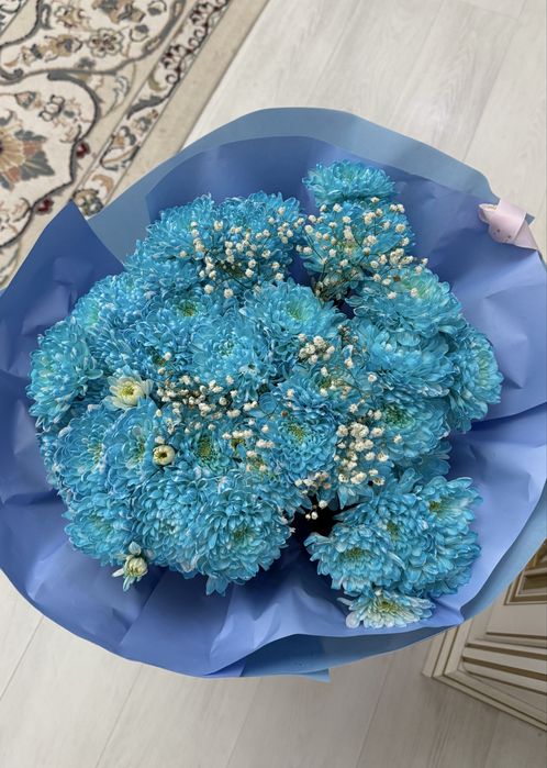 Хризантема цветы