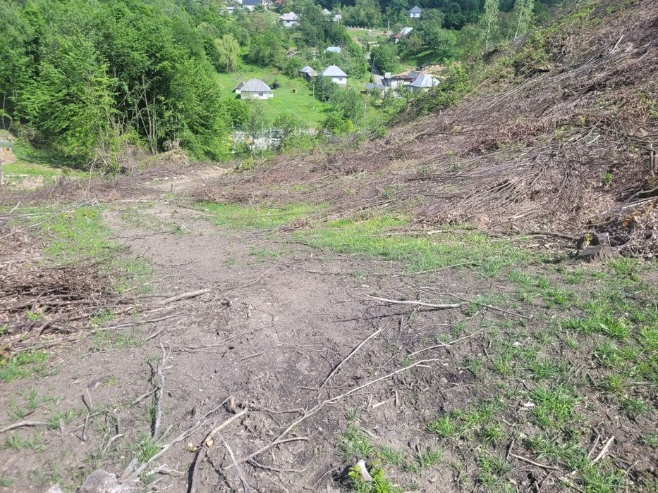 Vand teren în Cavnic