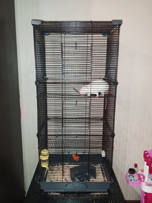 Продам большую клетку и двух крыс. Клетка 92*40