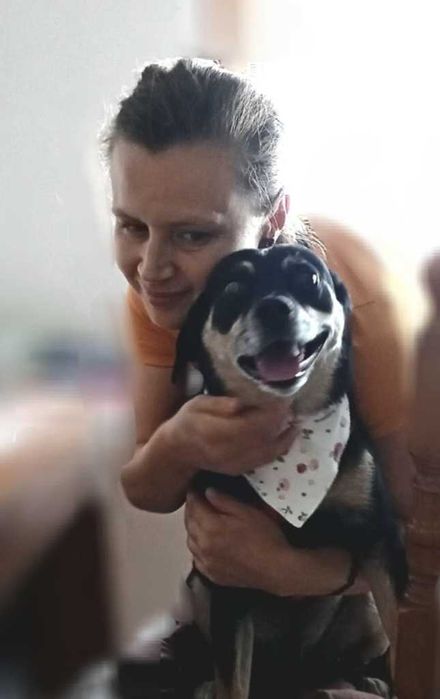 PET SITTER - Îngrijire animale la domiciliu - Iubire şi vizite zilnice