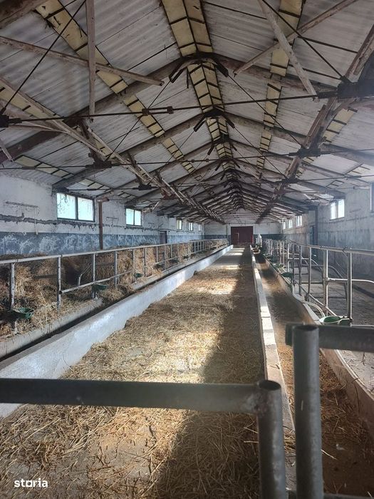 De vanzare grajduri in Barsau