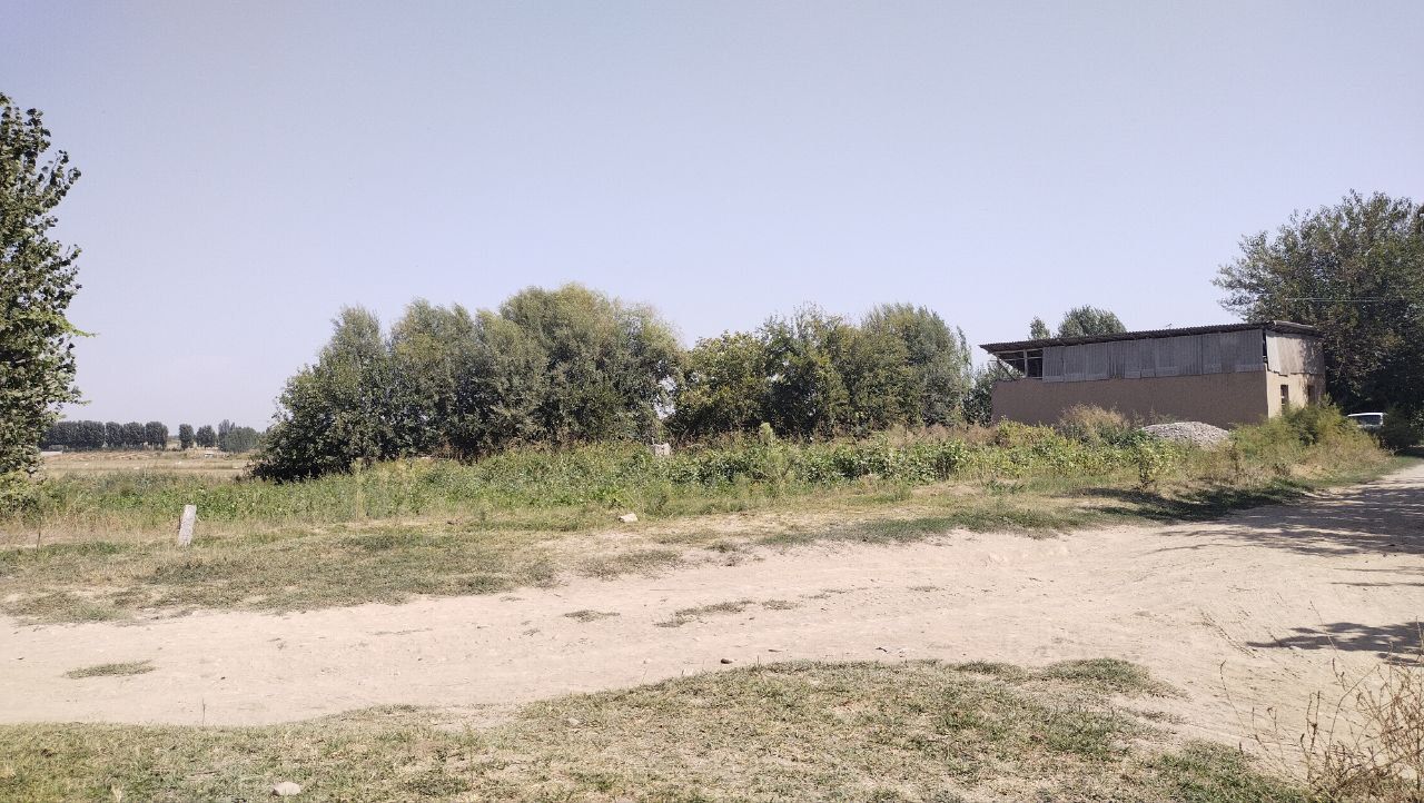 Uchastka xalqoboddan 30 sotik