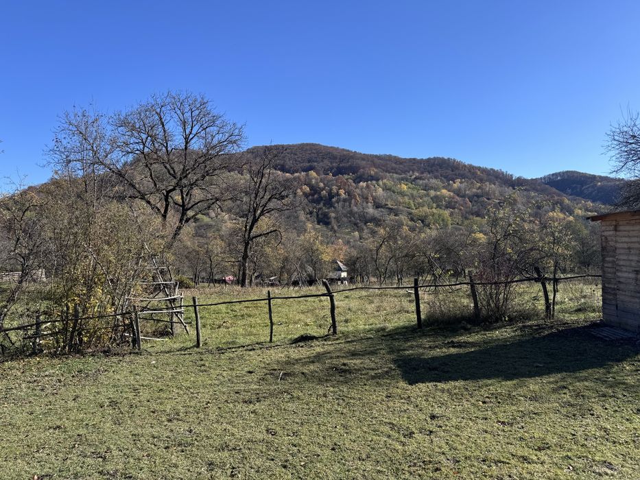 Teren intravilan Bradulet (Ungureni) , imprejmuit, langa padure