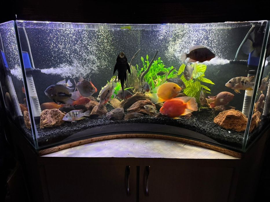 Обменяю аквариум на объем меньше