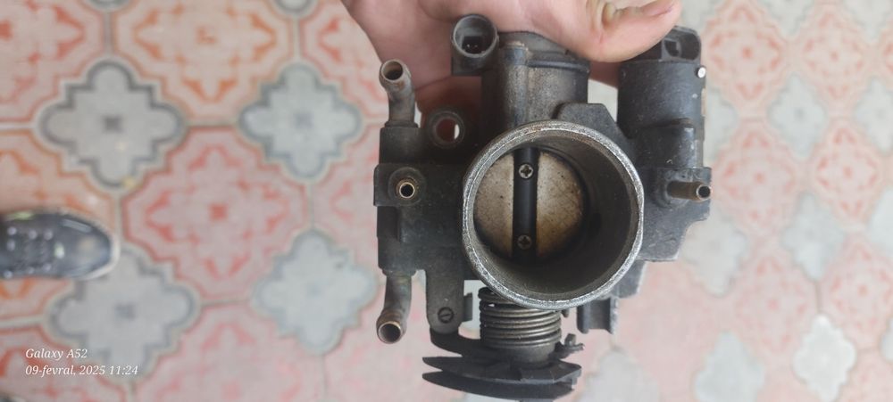 Zaslonka lada samaraniki