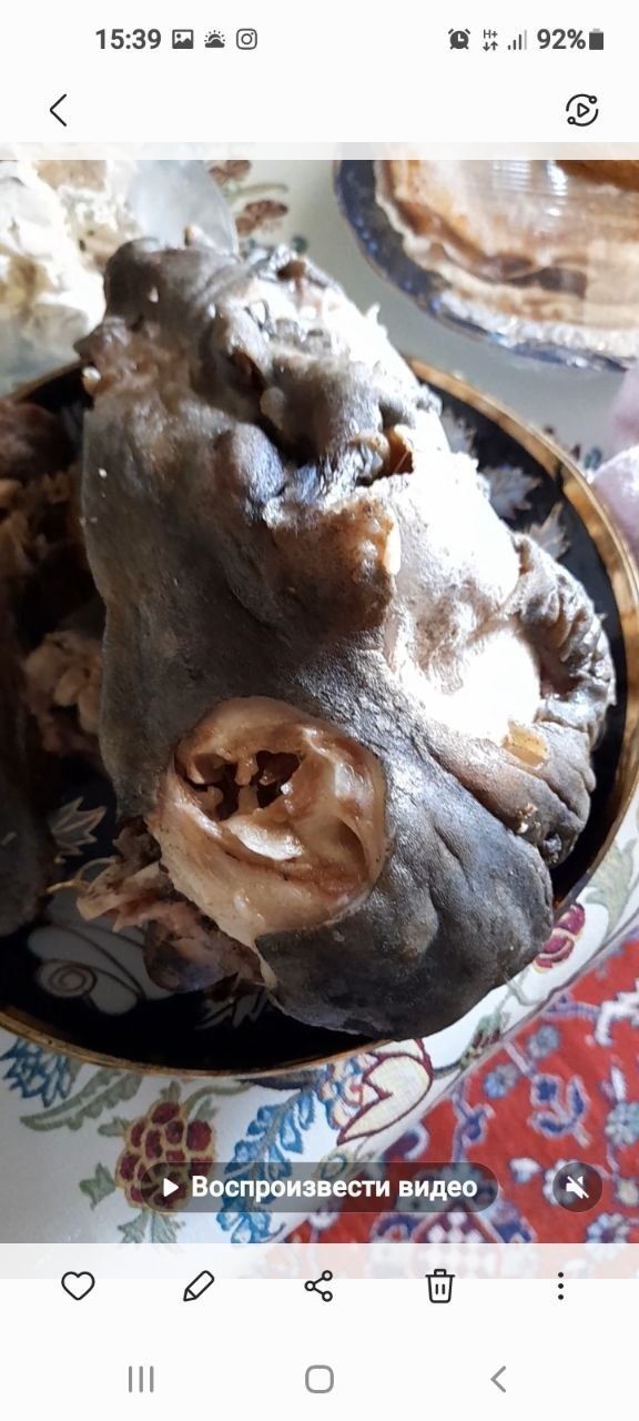 Kalla pocha hasip хасип калла поча