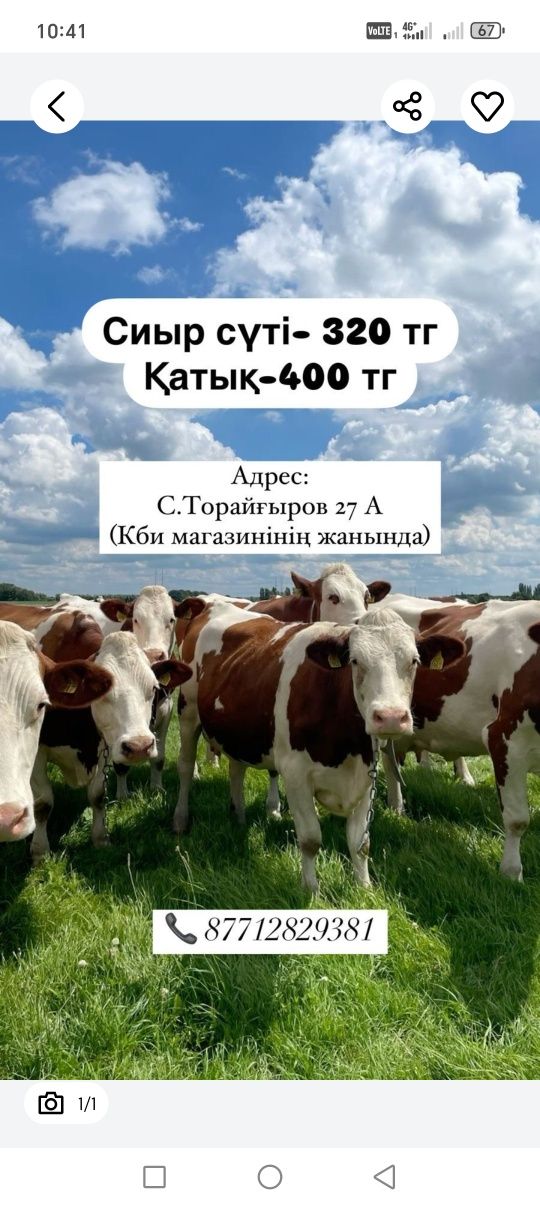 Қолдын сүті, айран, қатық сатылады
