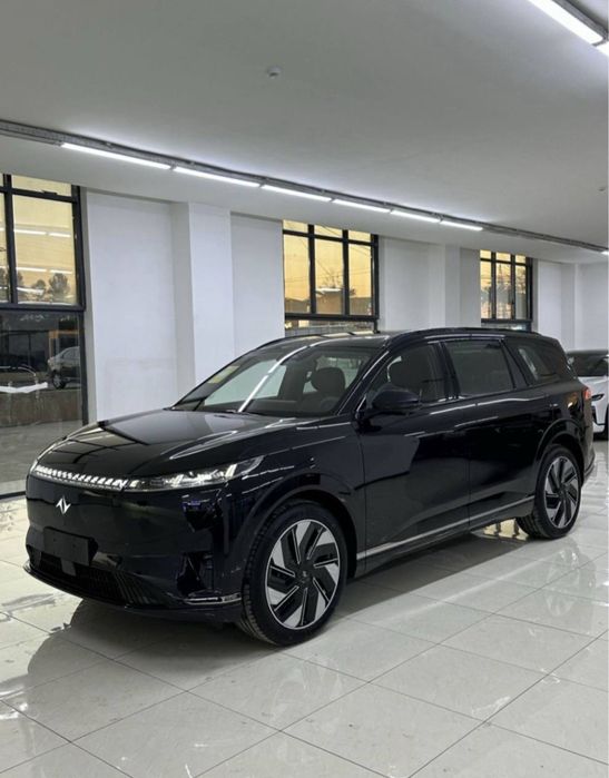 Dongfeng 008 gibrid