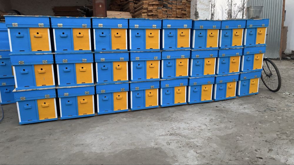 Asalari uyalari пчёл