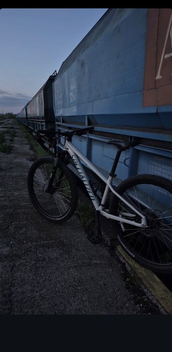 Specialized Rockhopper 2020(California)