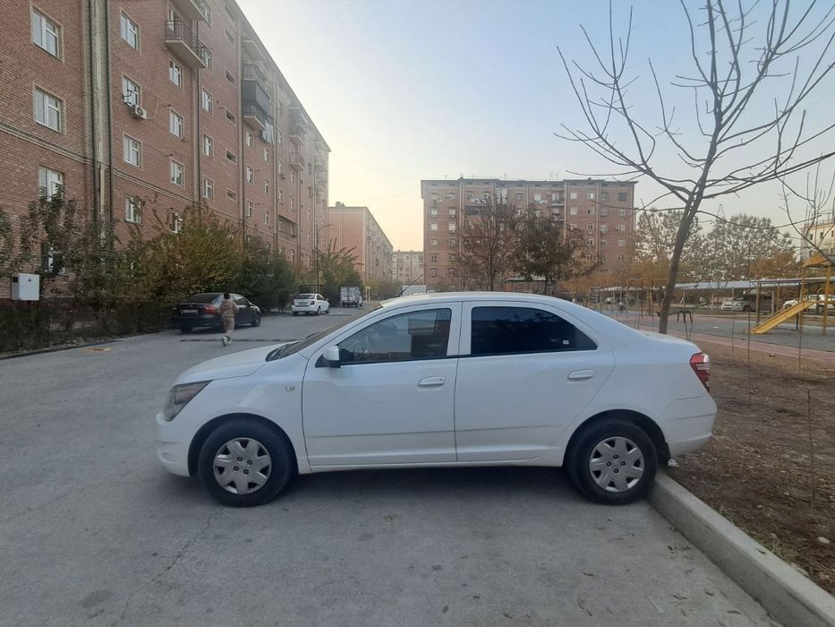 Cobalt sotiladi mexanika