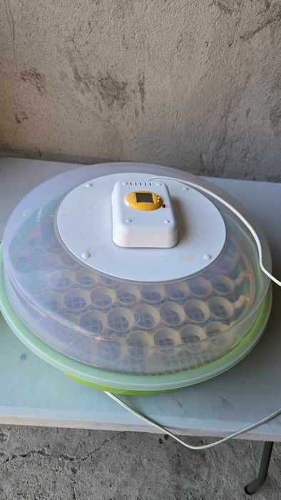 incubator pentru ouă