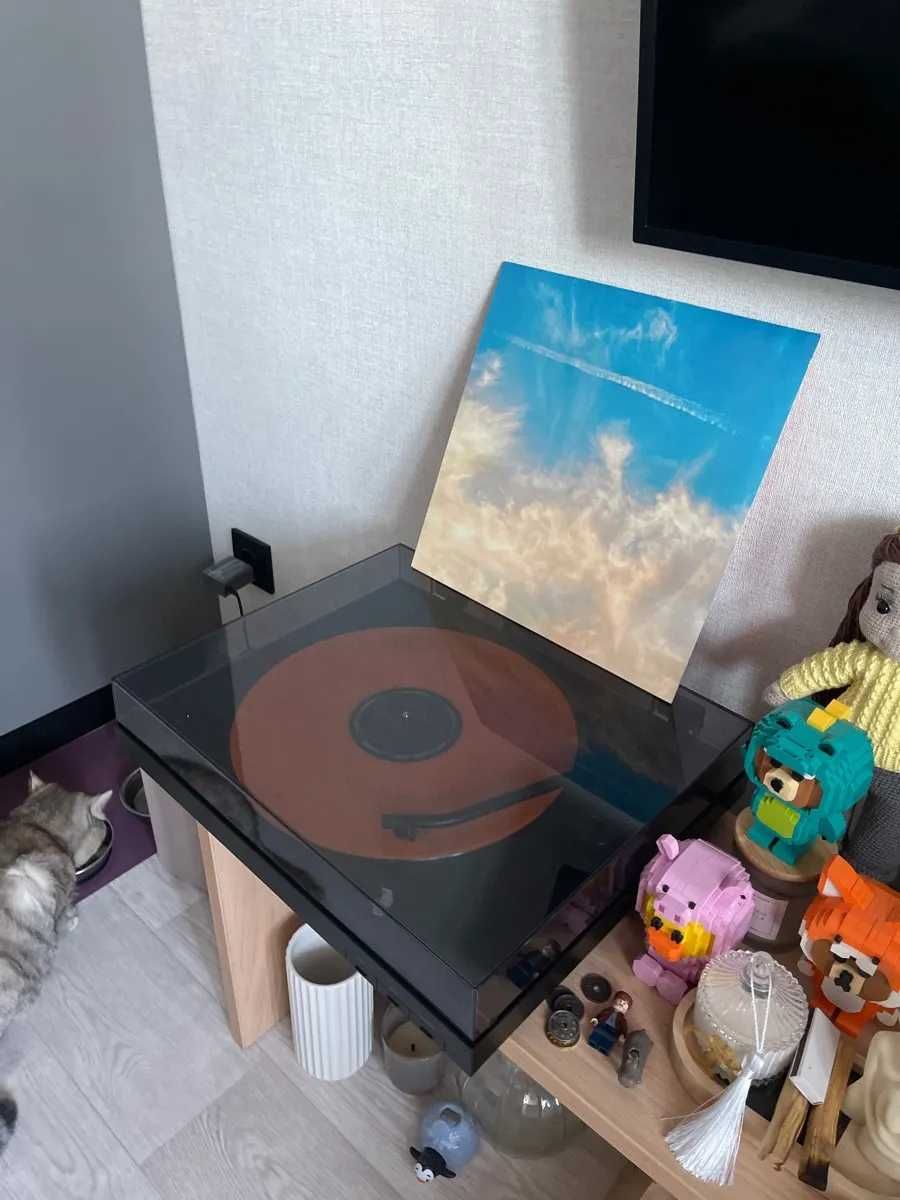 Виниловый проигрыватель Sony PS-LX310BT