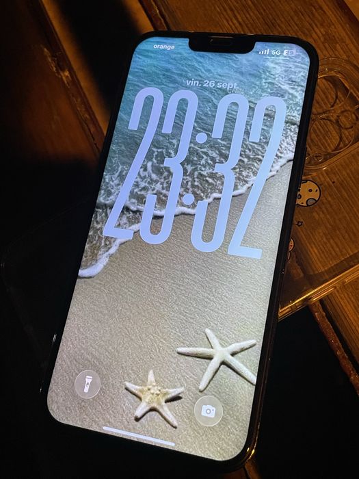 Iphone 13 pro max
