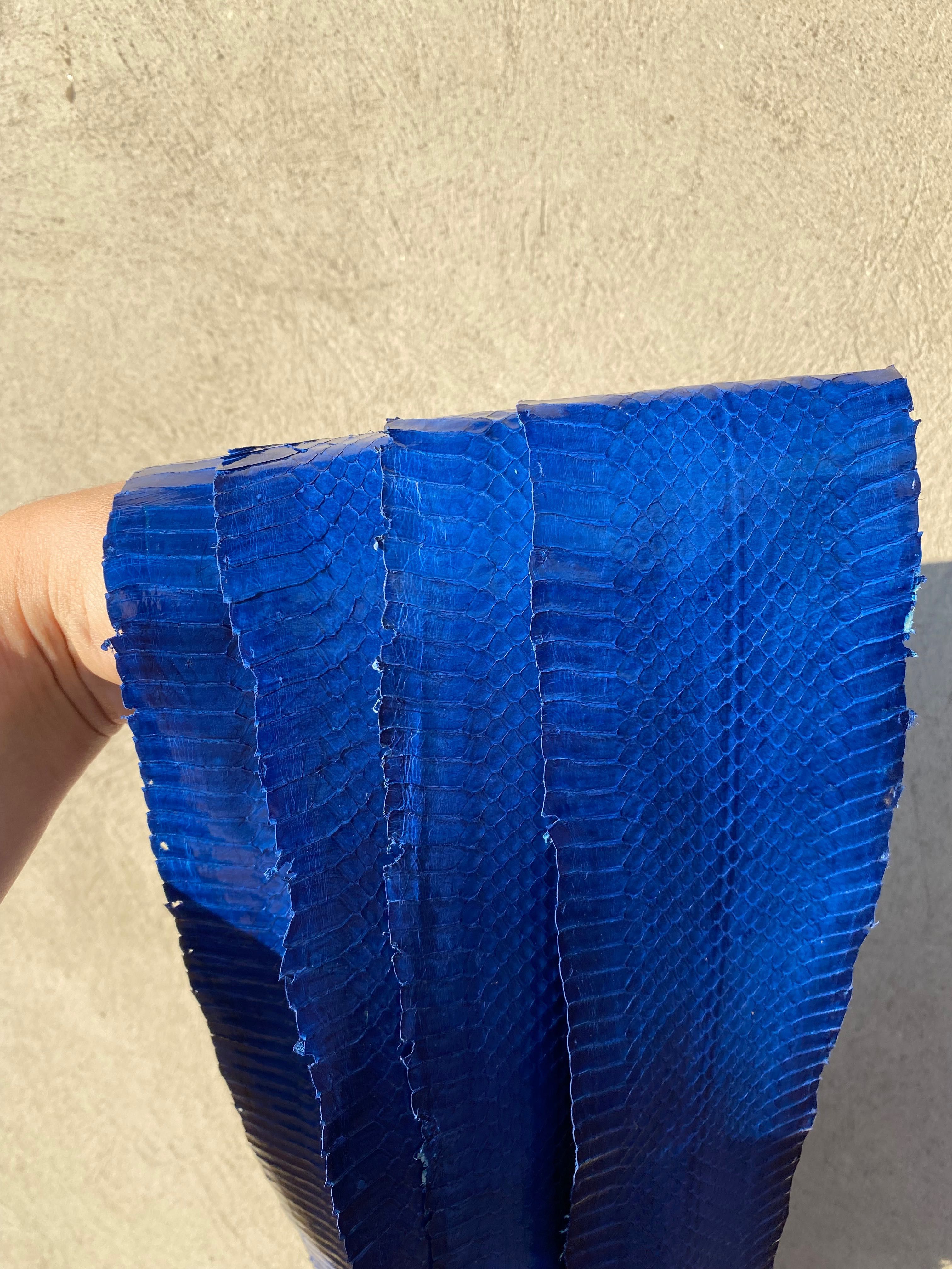 Piele sarpe albastru albastra - 200 RON fasia 105x9 cm