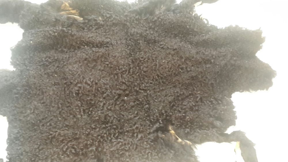 Каракуль. Мех. Шкурки.