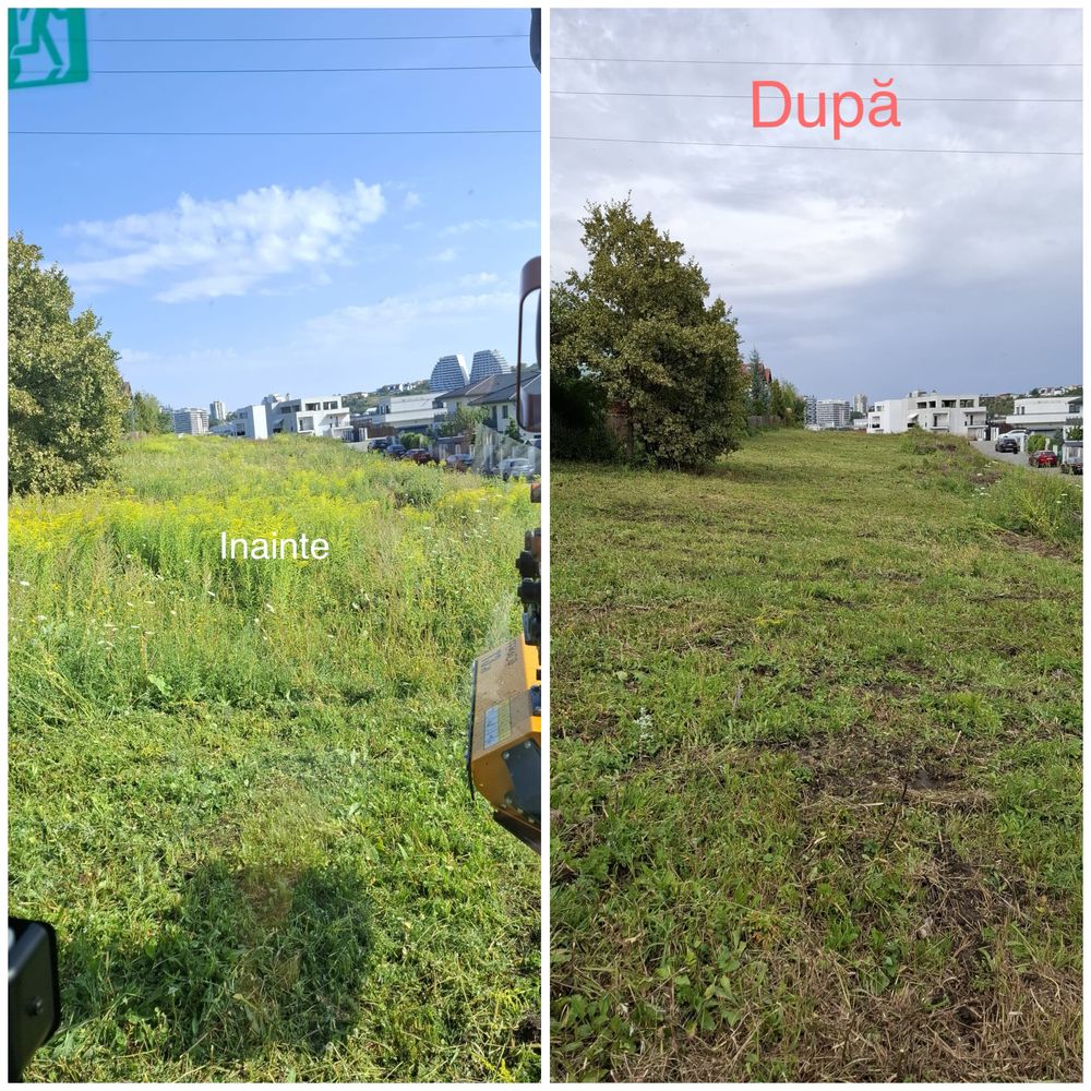 Servicii de Curățare / Defrișare terenuri cu tocător de vegetație