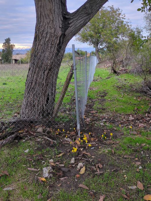 Имот в с. Бързица, общ. Провадия