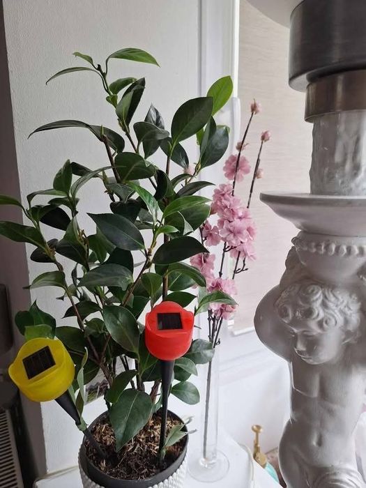 Lampa solara in forma de lalea