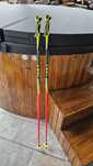 Bete ski Leki  carbon