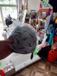 Vand costume de baie