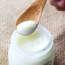 iaurt din lapte de oi gras mediu de baut natural de casa